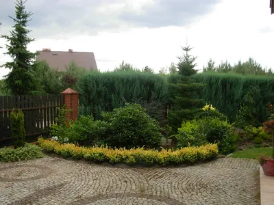 mgr inż. B. Kledzik, Projektowanie, Zakładanie, Pielęgnacja Ogrodów Włocławek, Lipno, Płock, Kutno, Konin, Inowrocław, Toruń